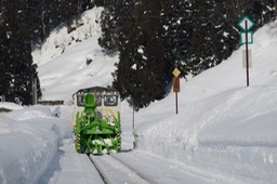 DSC09005
