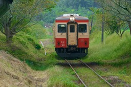 DSC09006-20180925