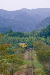 DSC09139-20180925