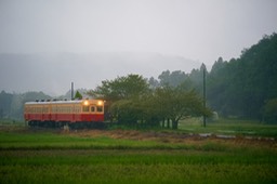 DSC09354-20180925