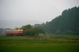 DSC09364-20180925