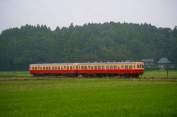 DSC09381-20180925