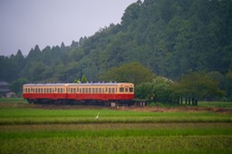 DSC09414-20180925