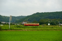DSC09703-20180926