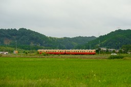DSC09722-20180926