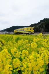 DSCF0208